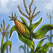 File:Ca new crops.png