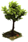 File:D SS StoneAge Tree.png