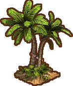 Palm_Tree.png