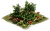 16 EarlyMiddleAge Hedge with Flowers.png