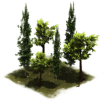 27 LateMiddleAge Group of Trees.png